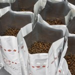 Vendita caffè in cialde in grani capsule compatibili - Torrefazione Artigianale Rionegro Arezzo Siena